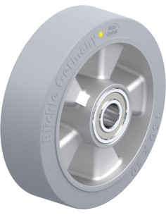 ALEV 160/20K-SG-AS antistatinis ratukas, 160 mm