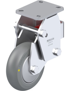 BHF-ALTH 125K-1-AS-FA-CO - antistatinis spyruoklinis