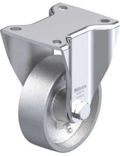 BH-G 100G-1 fiksuotas ratukas, 100 mm