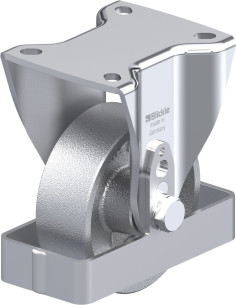 BH-G 100G-1-FS fiksuotas ratukas 100 mm