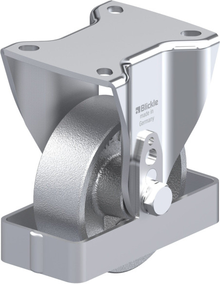 BH-G 100G-1-FS fiksuotas ratukas 100 mm