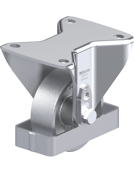 BH-G 100G-3-FS fiksuotas ratukas