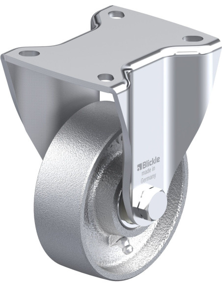 BH-G 100K-1 fiksuotas ratukas 100 mm