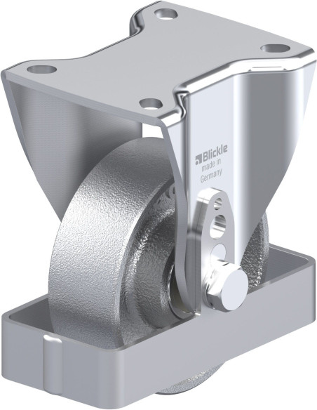 BH-G 100K-1-FS fiksuotas ratukas, 100 mm