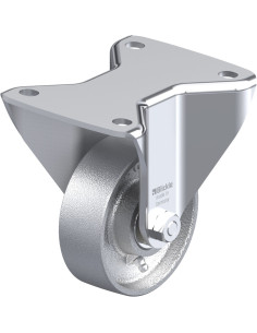 BH-G 100K-3 fiksuotas ratukas, 100 mm