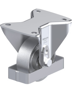 BH-G 100K-3-FS fiksuotas ratukas 100 mm