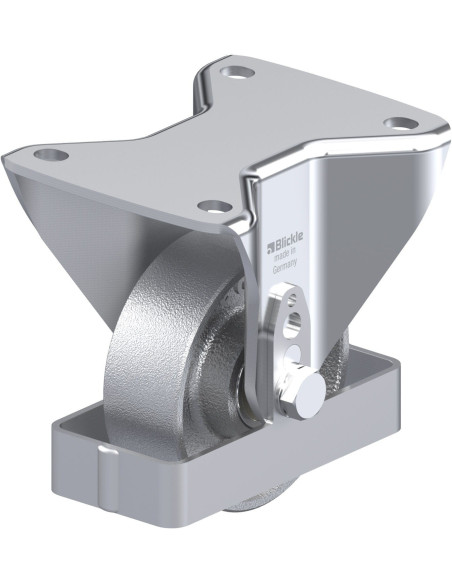 BH-G 100K-3-FS fiksuotas ratukas 100 mm