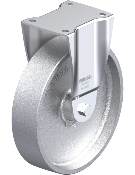 BH-G 250G fiksuotas ratukas