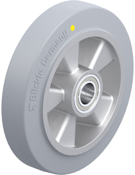ALEV 200/25K-SG-AS antistatinis ratukas, 200 mm