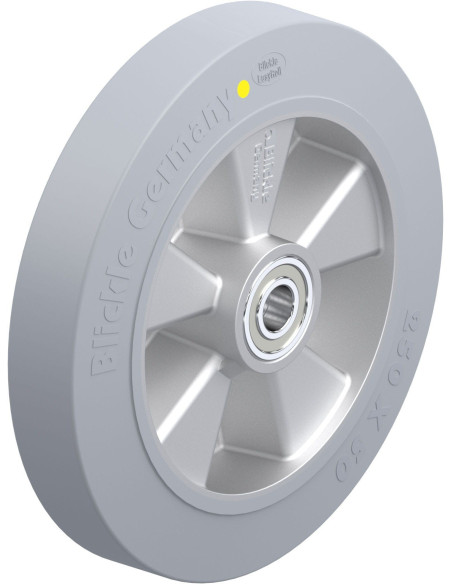 ALEV 250/20K-SG-AS antistatinis ratukas 250 mm