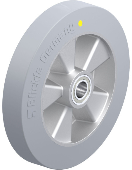 ALEV 250/25K-SG-AS antistatinis ratukas 250 mm