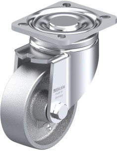 LH-G 100G-1 pasukamas ratukas