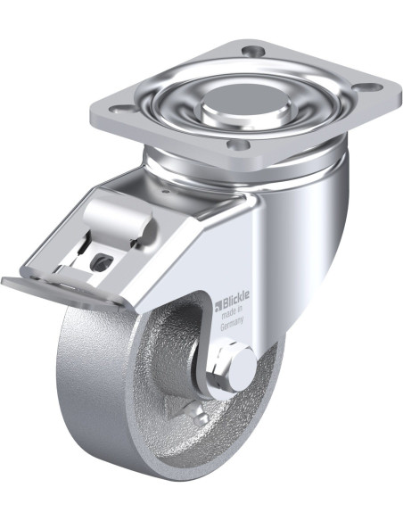 LH-G 100G-1-FI pasukamas ratukas su stabdžiais