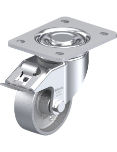 LH-G 100G-3-FI pasukamas ratukas su stabdžiais