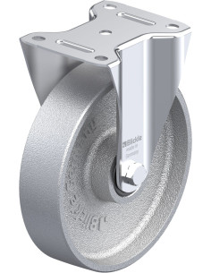 BI-G 200IK fiksuotas ratukas, 200 mm