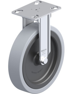 BKPA-VPA 150G fiksuotas ratukas, 110 kg keliamoji galia