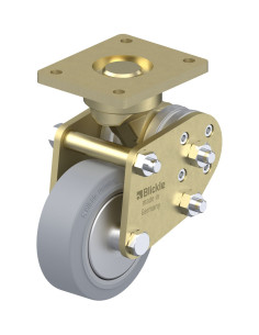 BPFE-ALEV 100K-SG-FA spyruoklinis fiksuotas ratukas