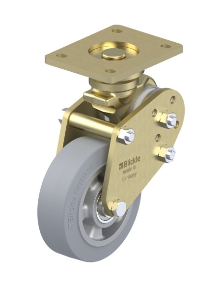 BPFE-ALEV 150K-SG spyruoklinis fiksuotas ratukas