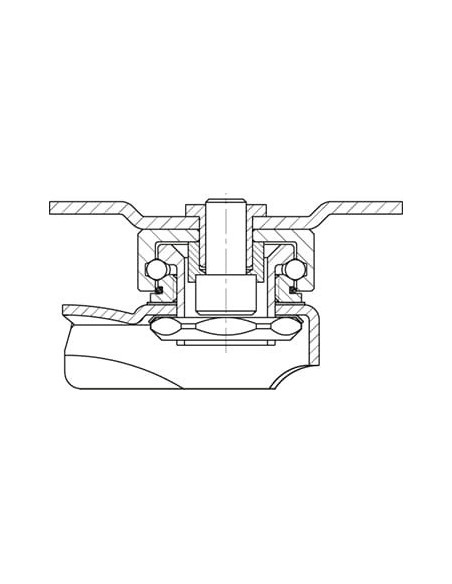 LPX-PGV 120XR-PG2-SRA-EL-FA pasukamas ratukas su guminiais