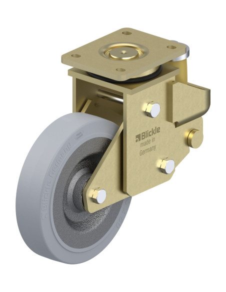 LSFE-SE 200K-SG Spyruoklinis Pasukamas Ratukas