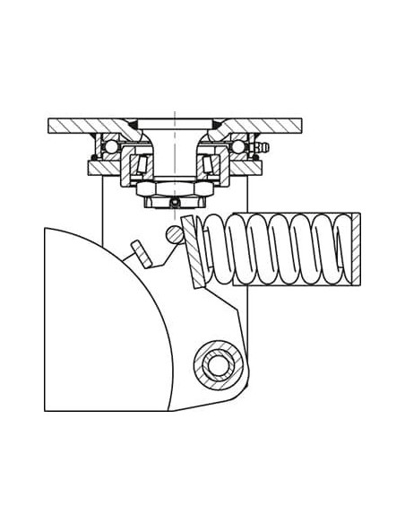 LSFN-GTH 302K-F30 - Spyruoklinis pasukamas ratukas su