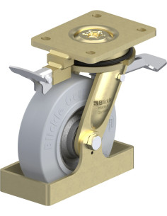 LS-SE 160K-ST-SG-RI4-FS pasukamas ratukas su stabdžiais