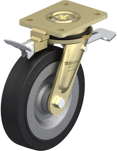 LS-SE 200K-ST-RI4 pasukamas ratukas su stabdžiais