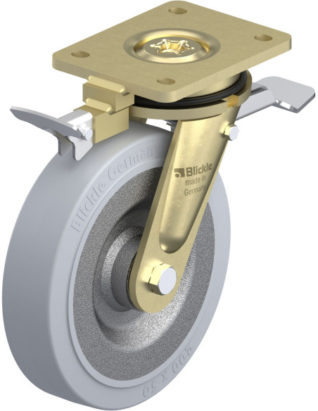 LS-SE 200K-ST-SG-RI4 pasukamas ratukas su stabdžiais