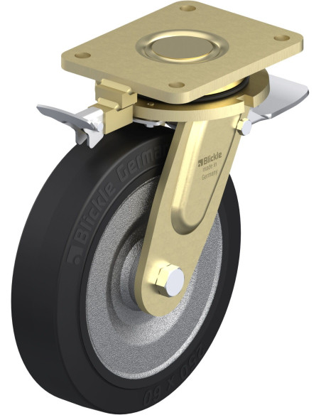 LS-SE 250K-ST-RI4 pasukamas ratukas su stabdžiais