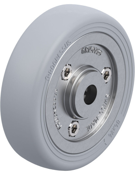 PGV 84/10XR-SG ratas