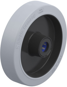 POEV 161/20XR-SG ratas iš nerūdijančio plieno