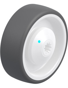 POTH 100/10KAD poliuretano ratukas