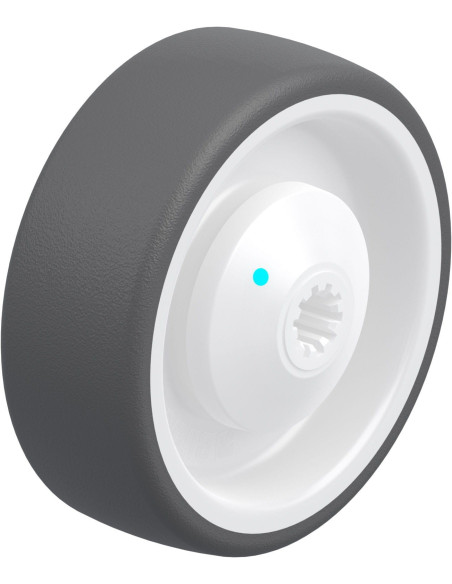 POTH 100/10KAD poliuretano ratukas