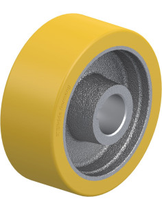 GTHN 127/30H7 varantysis ratukas su poliuretano