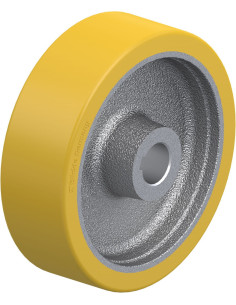 GTHN 160/25H7 varantysis ratukas su poliuretano