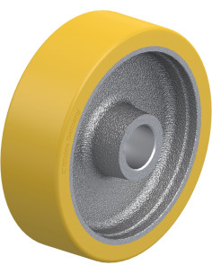 GTHN 160/30H7 varantysis ratukas su poliuretano