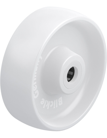 PPN 150/20R sintetinis ratukas su adatiniu guoliu