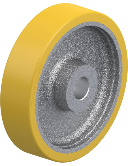 GTHN 200/30H7 varantysis ratukas su poliuretano