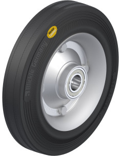 RD 250/25K dengtas guma ratukas