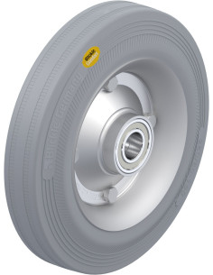 RD 250/25K-VLI dengtas gumos ratukas