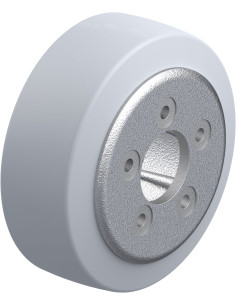 REV 215x82/60-5-SG ratas krautuvams