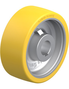 GTHN 202/40H7 varantysis ratukas su poliuretano