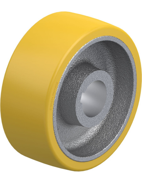 GTHN 202/50H7 varantysis ratukas su poliuretano