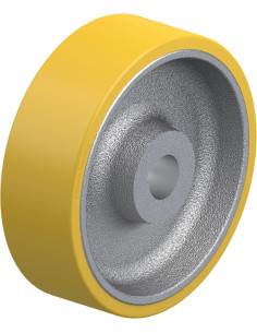 GTHN 252/40H7 varantysis ratukas su poliuretano