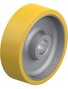 GTHN 252/50H7 varantysis ratukas su poliuretano