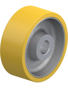 GTHN 253/50H7 varantysis ratukas su poliuretano