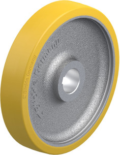 GTHN 300/50H7 varantysis ratukas su poliuretano