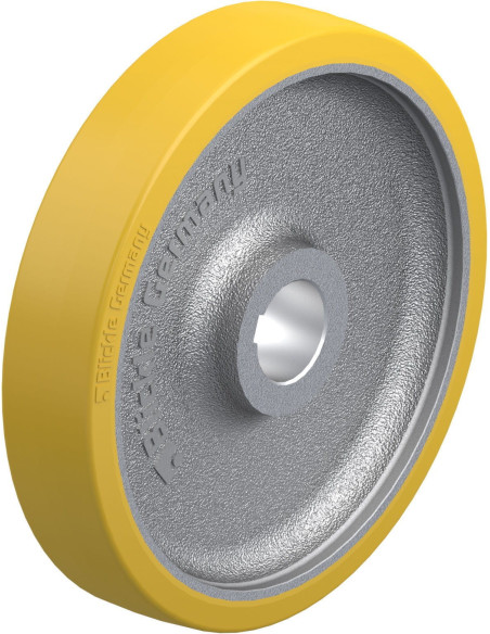 GTHN 300/50H7 varantysis ratukas su poliuretano