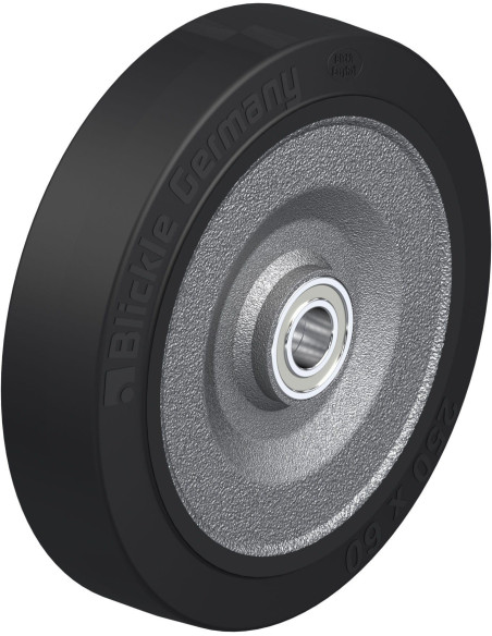 SE 250/25K dengtas guma ratukas