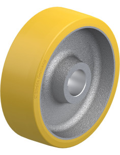 GTHN 304/60H7 varantysis ratas 300x100 mm